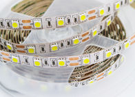 Le blanc frais extérieur de ruban a mené la bande, les lumières de bande du ruban adhésif LED 12V 60Led/M