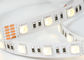 Éclairage décoratif de forte intensité mené flexible lumineux superbe de la bande 24V de RVB fournisseur